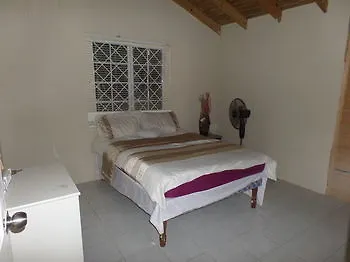 Отель Little Cottage Of Rose Hall Бухта Монтего